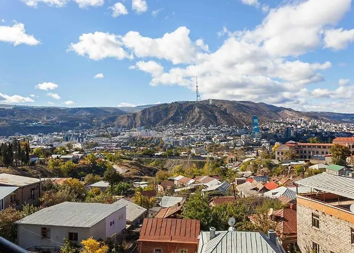 Luxury Apartment Aspindza 13